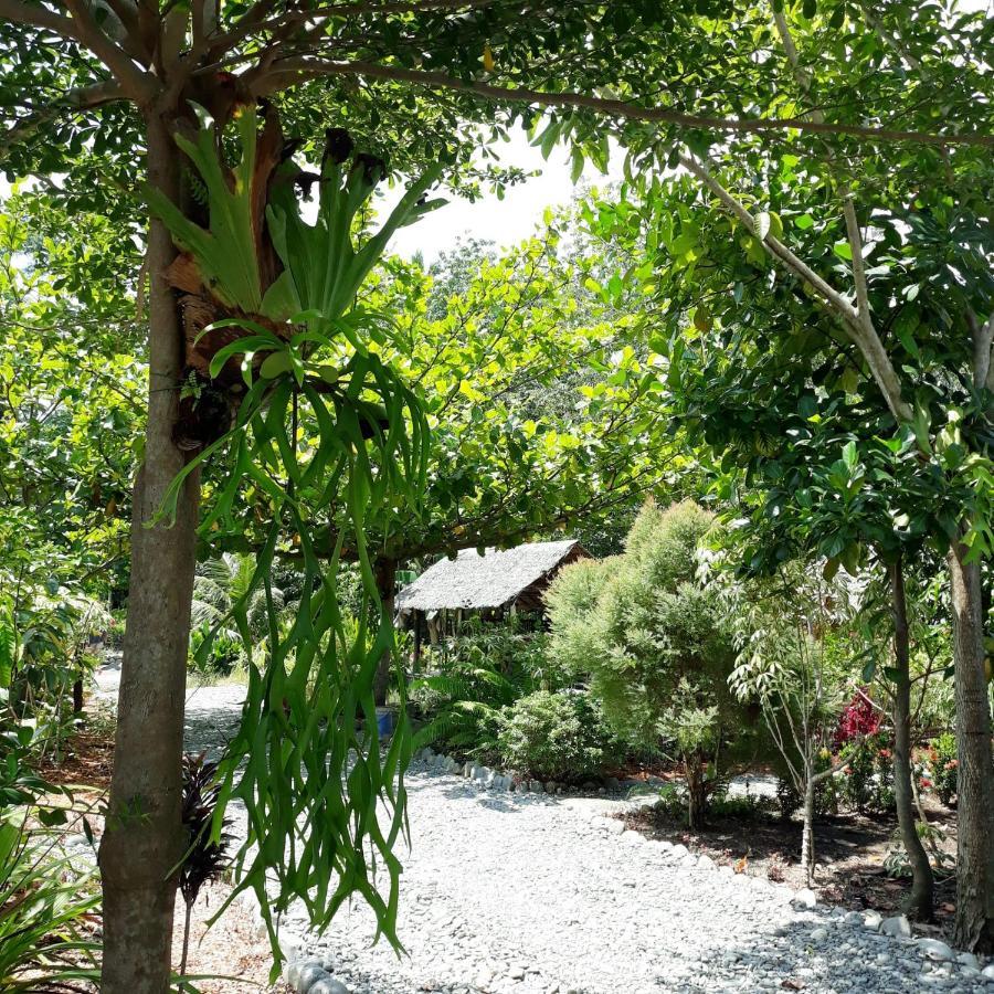 Magpie Homestay & Jungle Trekking Especially For Guest Trekking With Us Букит-Лаванг Экстерьер фото