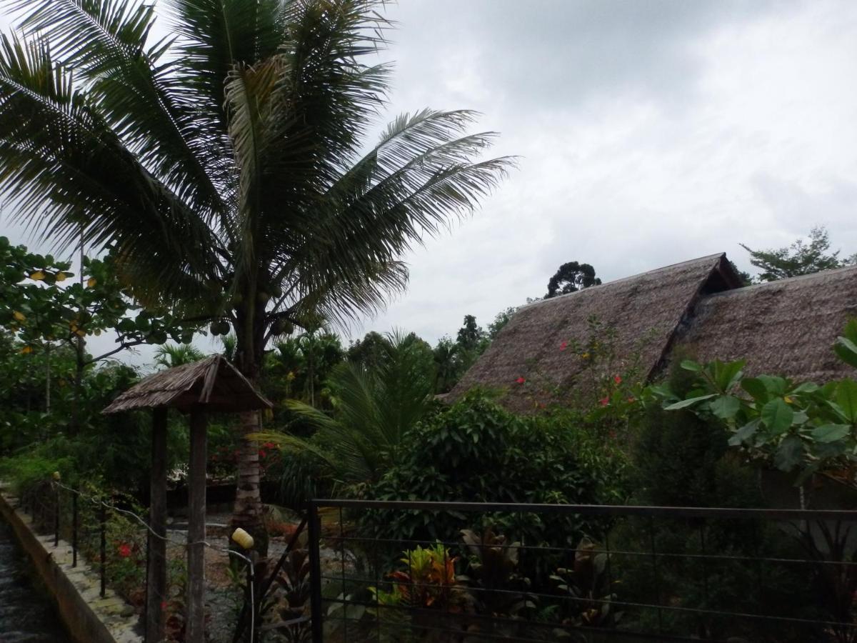 Magpie Homestay & Jungle Trekking Especially For Guest Trekking With Us Букит-Лаванг Экстерьер фото