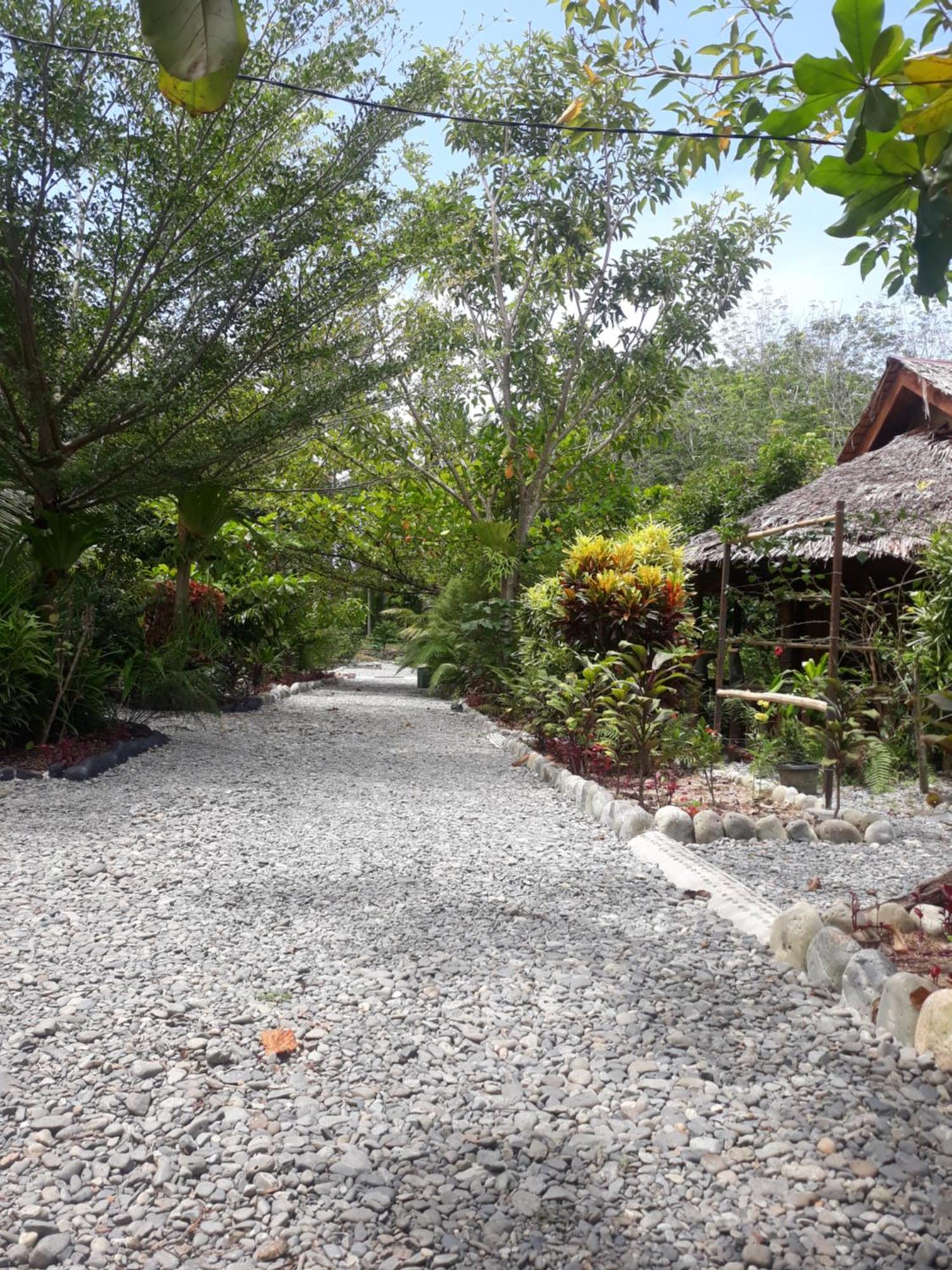 Magpie Homestay & Jungle Trekking Especially For Guest Trekking With Us Букит-Лаванг Экстерьер фото