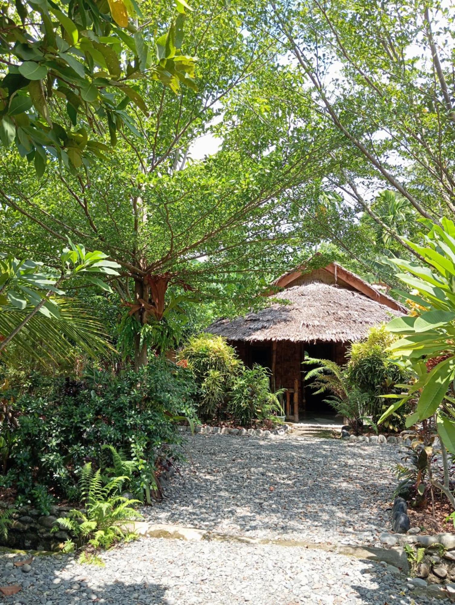 Magpie Homestay & Jungle Trekking Especially For Guest Trekking With Us Букит-Лаванг Экстерьер фото