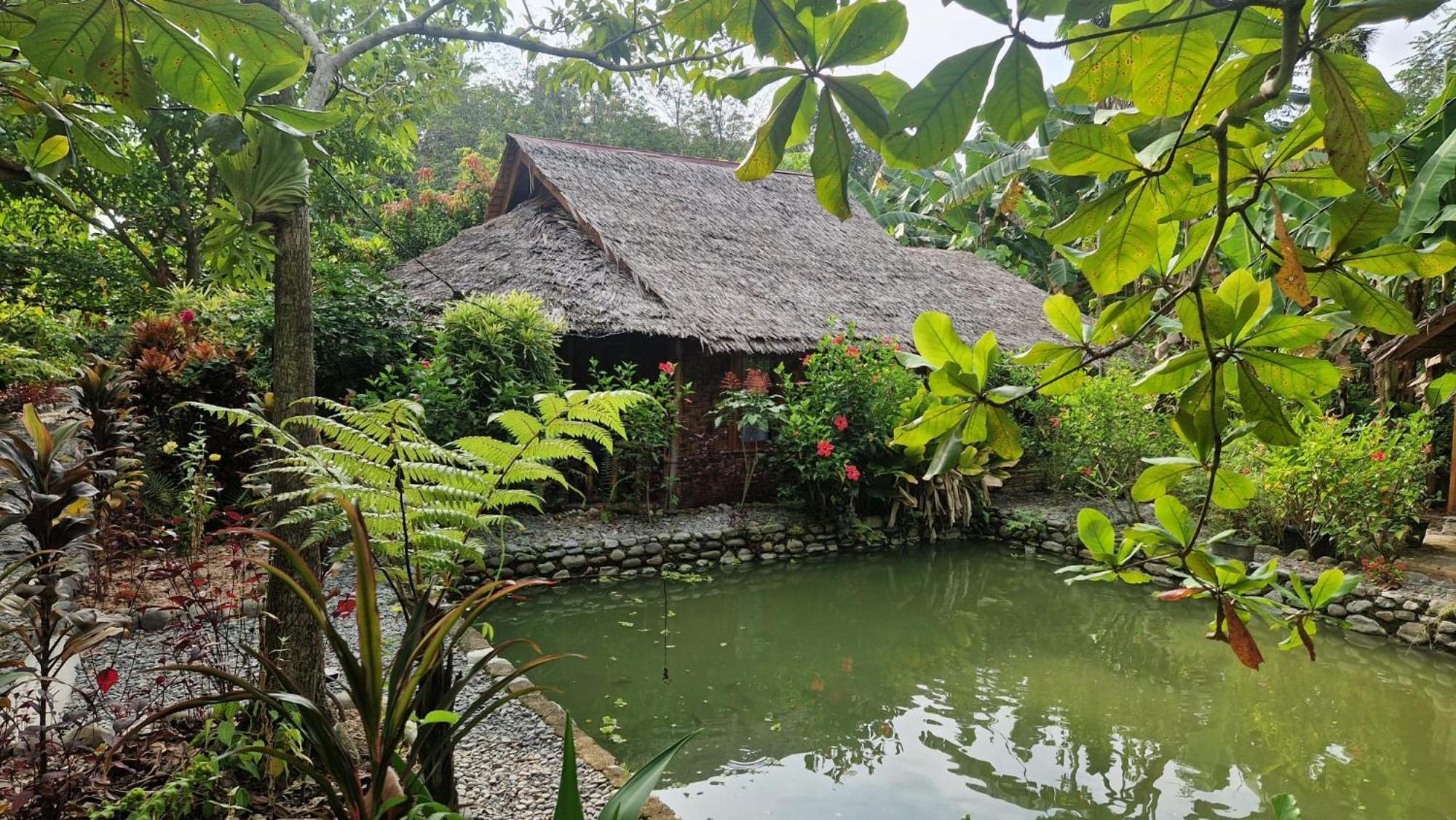 Magpie Homestay & Jungle Trekking Especially For Guest Trekking With Us Букит-Лаванг Экстерьер фото