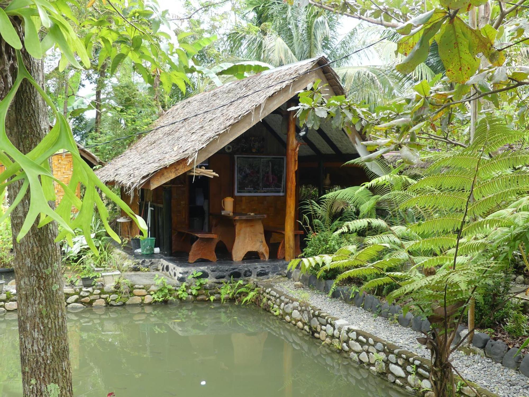 Magpie Homestay & Jungle Trekking Especially For Guest Trekking With Us Букит-Лаванг Экстерьер фото